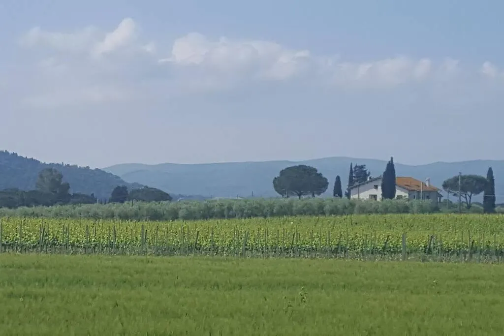 Podere 239 Villa Magliano in Toscana Italy