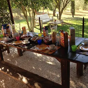  Bed & Breakfast Affittacamere Artemisia